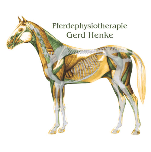 Illustration Pferdephysiotherapie