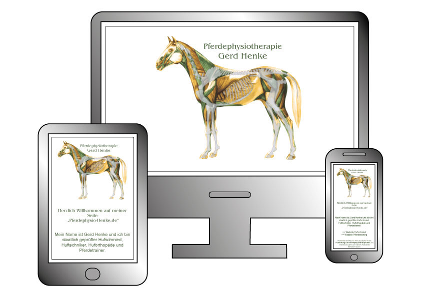 Webdesign Pferdephysiotherapie